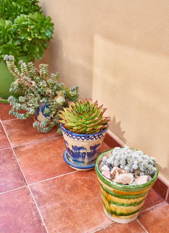El Agave אל פוזו דה לוס פריילס מראה חיצוני תמונה